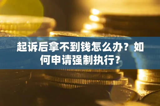 武汉起诉后拿不到钱怎么办？如何申请强制执行？
