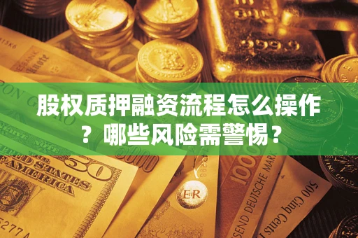 武汉股权质押融资流程怎么操作？哪些风险需警惕？