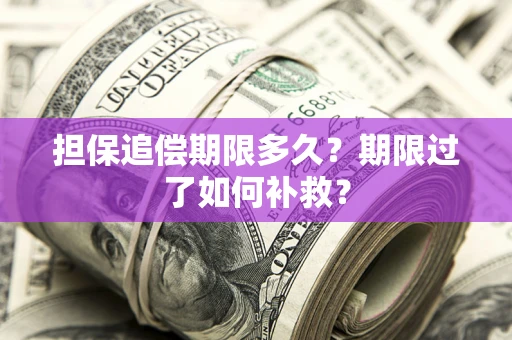 武汉担保追偿期限多久？期限过了如何补救？