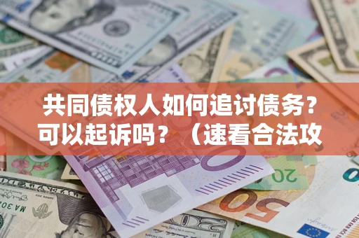 武汉共同债权人如何追讨债务？可以起诉吗？（速看合法攻略）