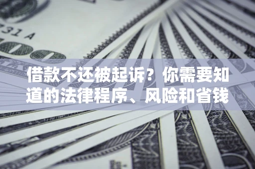 武汉借款不还被起诉？你需要知道的法律程序、风险和省钱技巧